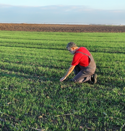 foodsustainability hp