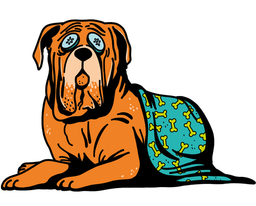 oi12 benessereanimale hp