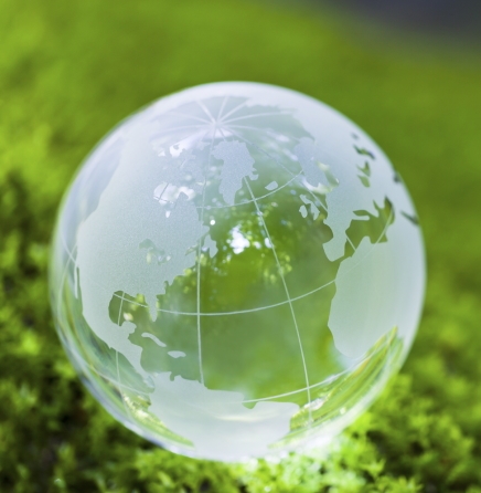 barcodexenvironment hp