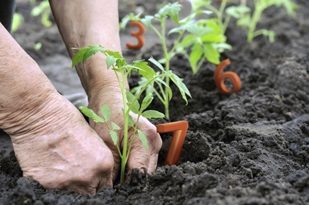 25471 gs1 chiffre 09 2013 h TH4LgRq