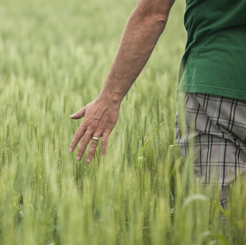 direttivaue csddd hp