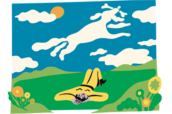 Osservatorio Immagino ed. 16 - Petcare