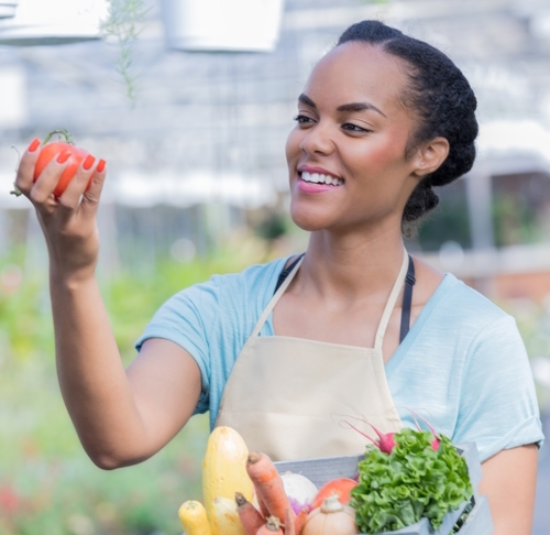 lavoce agroalimentare hp