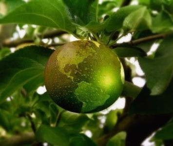 economiacircolare ecrcomm hp