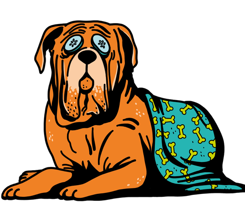 petwelfareforum24 hp