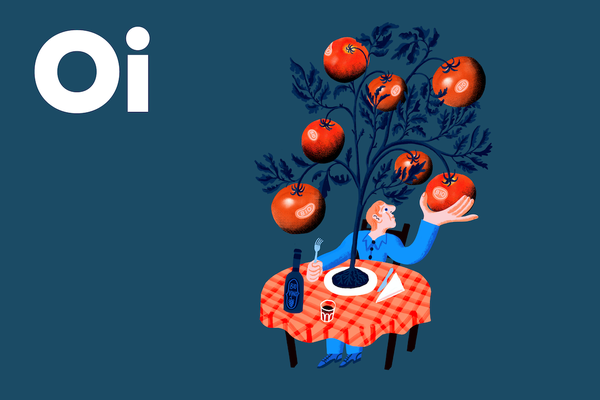 Osservatorio Immagino edizione 19, barometro sostenibilità
