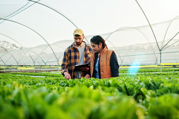 Osservatorio Food sustainability