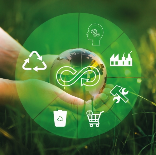 ossfoodsustainability hp