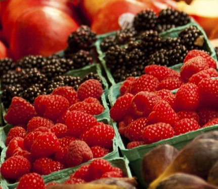 datamodelortofrutta hp