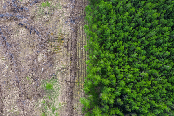 Webinar Compliance Normativa